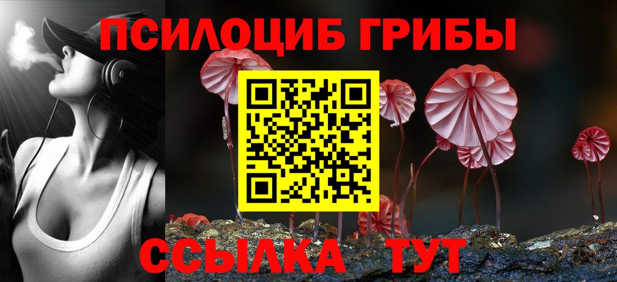 Псилоцибиновые грибы Cubensis Ростов Великий