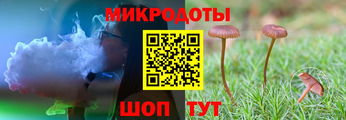Псилоцибиновые грибы MAGIC MUSHROOMS  Вход с VPN  Ростов Великий 